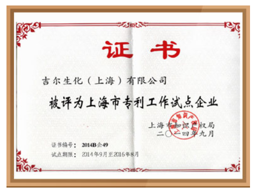 Shanghai Patent Work Pilot Enterprise Certificate
